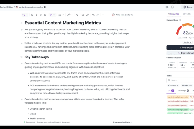 surfer seo panel tekstu